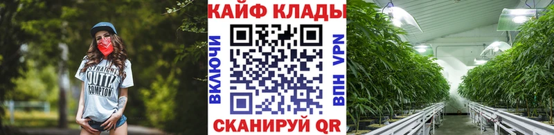 Купить закладку Псилоцибиновые грибы  Мефедрон  МАРИХУАНА  Йошкар-Ола