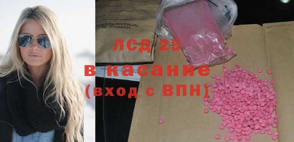 гашик Гусев