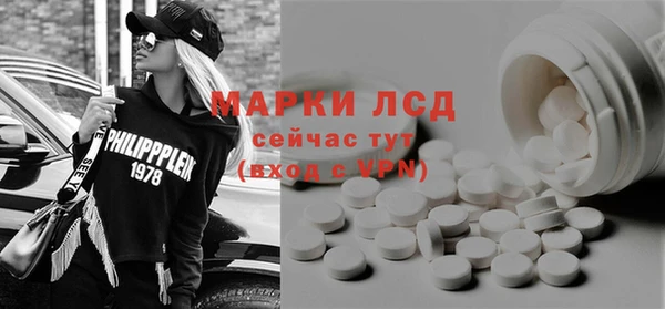 прущие грибы Дмитров