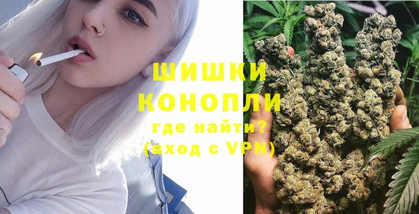 гашик Гусев