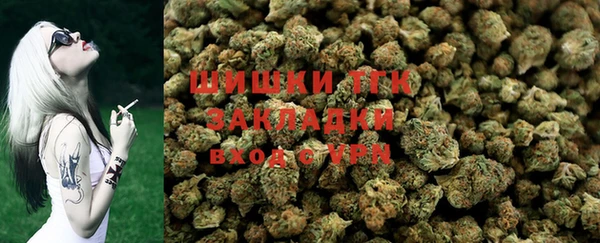 гашик Гусев