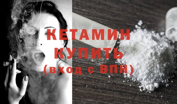 гашик Гусев